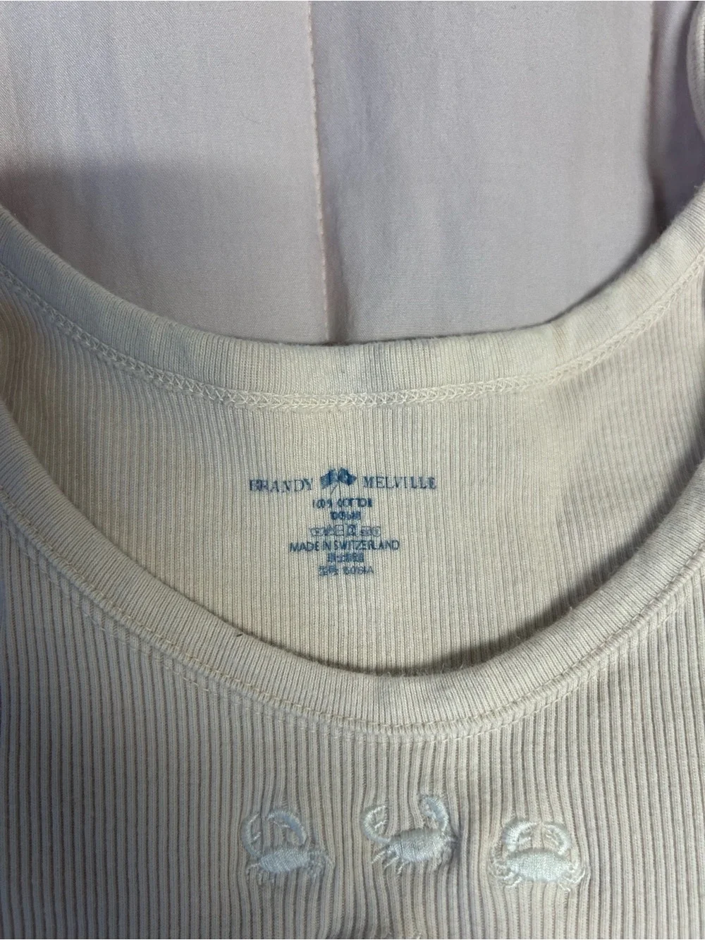 Brandy Melville Cream Ribbed Tank with Subtle Embroidery - Picture 5 of 5